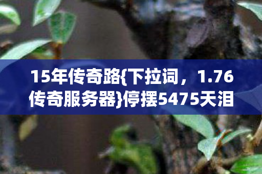 15年传奇路{下拉词,1.76传奇服务器}停摆5475天泪目谁刻? 15年传奇路{下拉词,1.76传奇服务器}停摆5475天泪目谁刻?