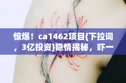 惊爆!ca1462项目{下拉词,3亿投资}隐情揭秘,吓一跳! 惊爆!ca1462项目{下拉词,3亿投资}隐情揭秘,吓一跳!
