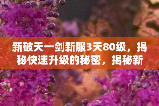 新破天一剑新服3天80级,揭秘快速升级的秘密,揭秘新破天一剑新服3天80级快速升级的秘密 新破天一剑新服3天80级,揭秘快速升级的秘密,揭秘新破天一剑新服3天80级快速升级的秘密