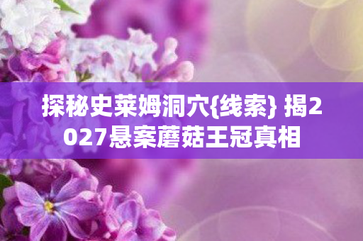 探秘史莱姆洞穴{线索} 揭2027悬案蘑菇王冠真相 探秘史莱姆洞穴{线索} 揭2027悬案蘑菇王冠真相