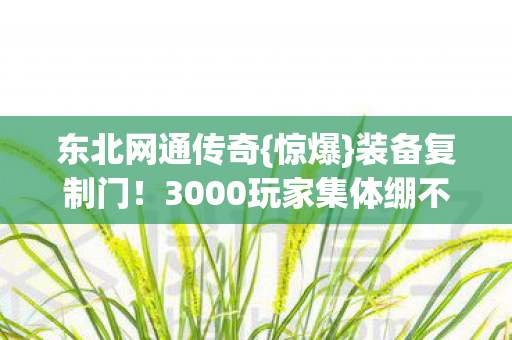 东北网通传奇{惊爆}装备复制门！3000玩家集体绷不住