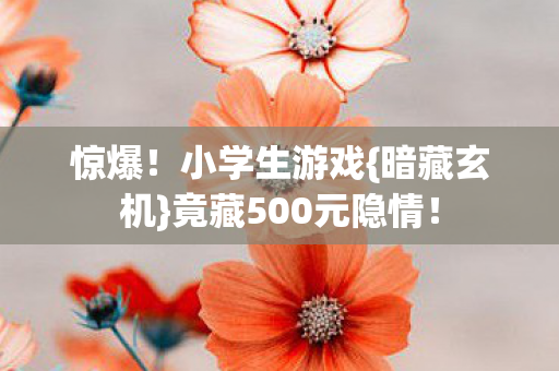 竟藏500元隐情图片