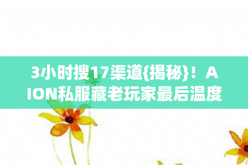 3小时搜17渠道{揭秘}！AION私服藏老玩家最后温度？