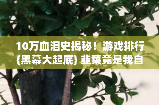 10万血泪史揭秘!游戏排行{黑幕大起底} 韭菜竟是我自己? 10万血泪史揭秘!游戏排行{黑幕大起底} 韭菜竟是我自己?