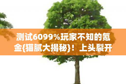 测试6099%玩家不知的氪金{猫腻大揭秘}！上头裂开