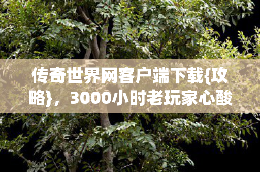 传奇世界网客户端下载{攻略},3000小时老玩家心酸热爱揭秘 传奇世界网客户端下载{攻略},3000小时老玩家心酸热爱揭秘
