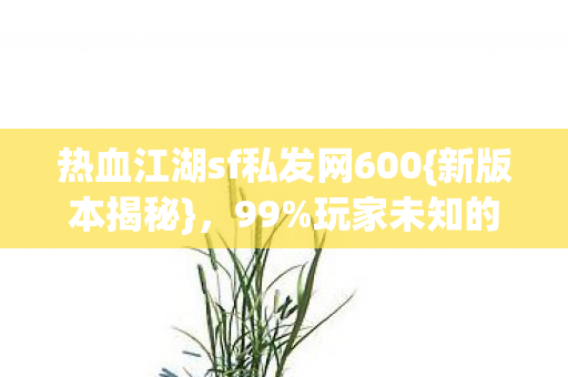 热血江湖sf私发网600{新版本揭秘}，99%玩家未知的暗涌