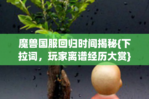 魔兽国服回归时间揭秘图片