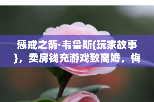 卖房钱充游戏致离婚图片