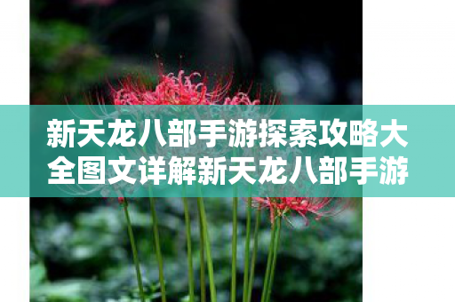 新天龙八部手游探索攻略大全图文详解新天龙八部手游探索攻略大全图图片