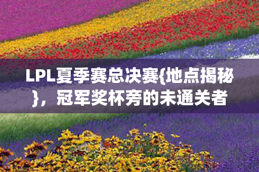 冠军奖杯旁的未通关者线索图片
