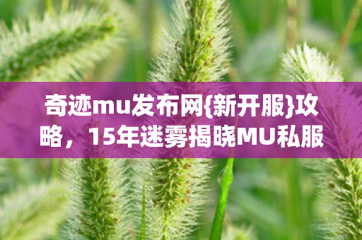 15年迷雾揭晓MU私服真相图片