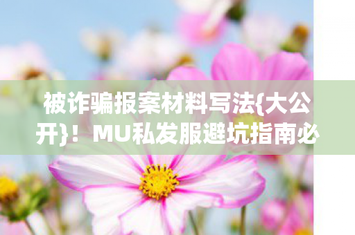 MU私发服避坑指南必看图片