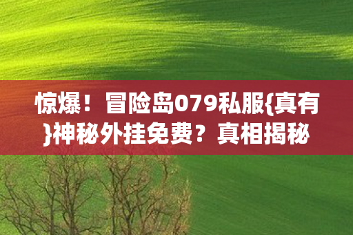 冒险岛079私服图片