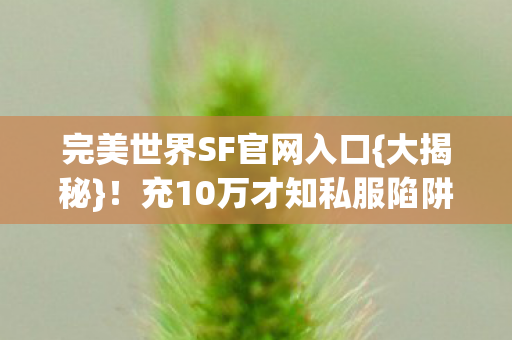 完美世界SF官网入口{大揭秘}!充10万才知私服陷阱 完美世界SF官网入口{大揭秘}!充10万才知私服陷阱