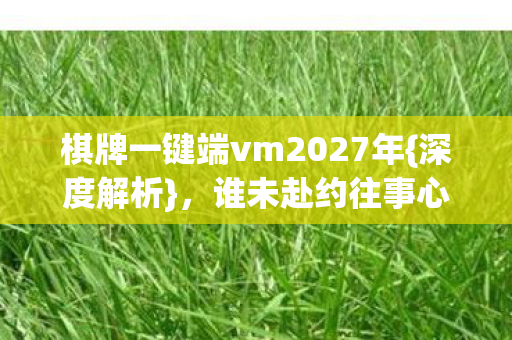 棋牌一键端vm2027年{深度解析}，谁未赴约往事心酸翻涌