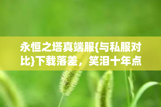 永恒之塔真端服{与私服对比}下载落差，笑泪十年点卡路