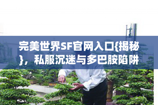 完美世界SF官网入口{揭秘},私服沉迷与多巴胺陷阱 完美世界SF官网入口{揭秘},私服沉迷与多巴胺陷阱