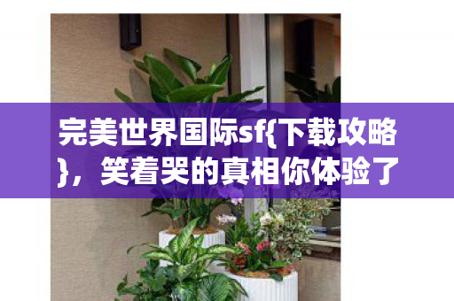 完美世界国际sf{下载攻略},笑着哭的真相你体验了吗? 完美世界国际sf{下载攻略},笑着哭的真相你体验了吗?
