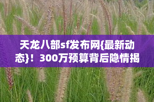天龙八部sf发布网{最新动态}!300万预算背后隐情揭秘 天龙八部sf发布网{最新动态}!300万预算背后隐情揭秘