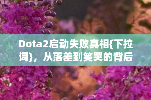 Dota2启动失败真相图片