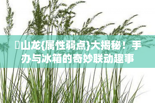 手办与冰箱的奇妙联动趣事图片