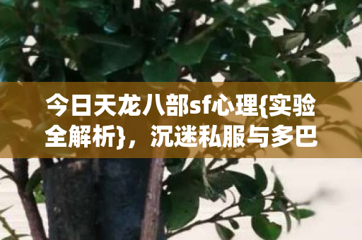 今日天龙八部sf心理图片