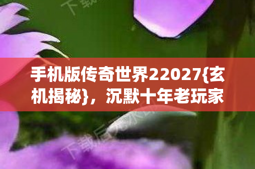 手机版传奇世界22027{玄机揭秘}，沉默十年老玩家心声
