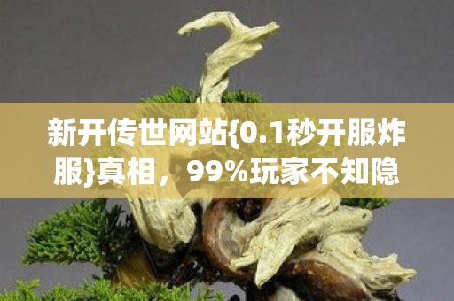 新开传世网站{0.1秒开服炸服}真相,99%玩家不知隐藏机制 新开传世网站{0.1秒开服炸服}真相,99%玩家不知隐藏机制