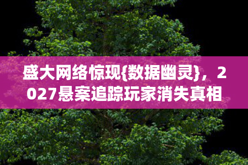 盛大网络惊现{数据幽灵},2027悬案追踪玩家消失真相 盛大网络惊现{数据幽灵},2027悬案追踪玩家消失真相
