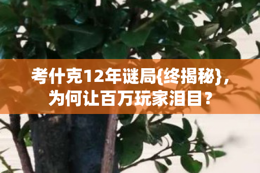 为何让百万玩家泪目图片
