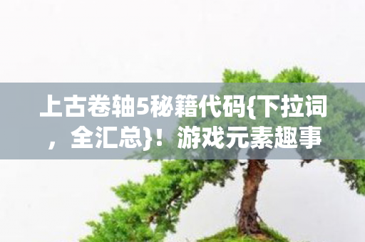 上古卷轴5秘籍代码图片