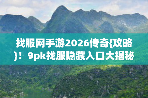 9pk找服隐藏入口大揭秘图片