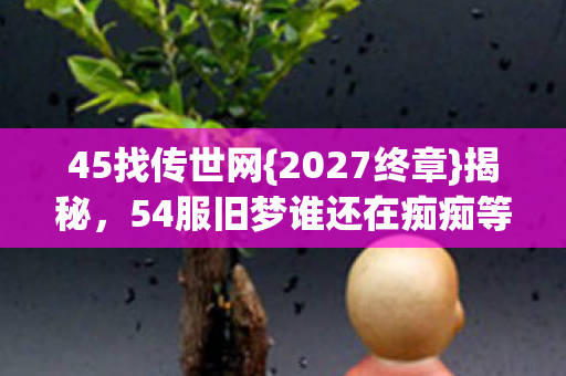 45找传世网{2027终章}揭秘,54服旧梦谁还在痴痴等? 45找传世网{2027终章}揭秘,54服旧梦谁还在痴痴等?