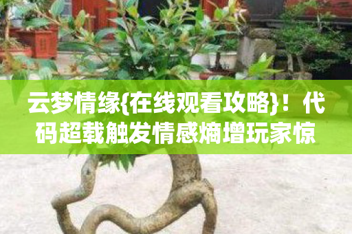 代码超载触发情感熵增玩家惊图片
