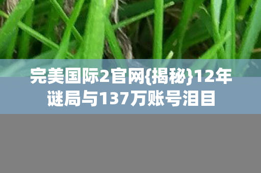 完美国际2官网{揭秘}12年谜局与137万账号泪目 完美国际2官网{揭秘}12年谜局与137万账号泪目