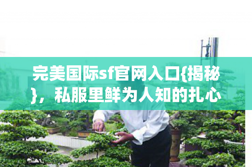 完美国际sf官网入口{揭秘},私服里鲜为人知的扎心真相 完美国际sf官网入口{揭秘},私服里鲜为人知的扎心真相