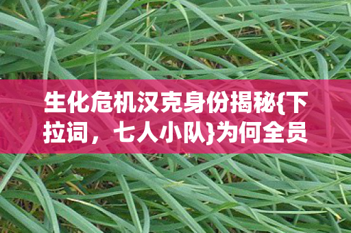 生化危机汉克身份揭秘图片