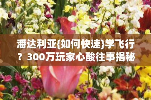 300万玩家心酸往事揭秘图片