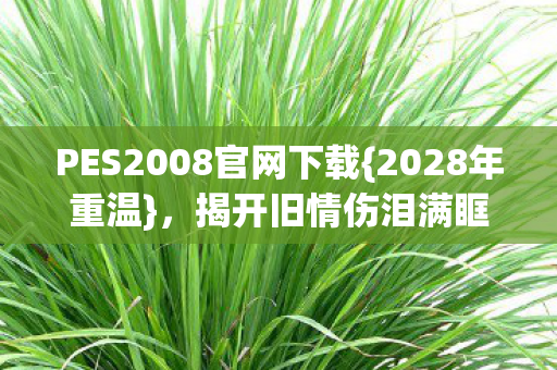 PES2008官网下载图片