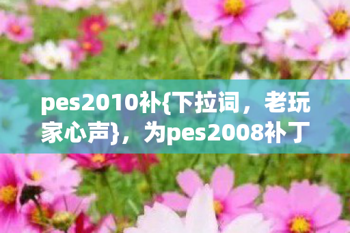为pes2008补丁成跨平台流浪者图片