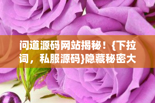 问道源码网站揭秘！{下拉词，私服源码}隐藏秘密大公开