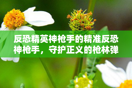 反恐精英神枪手的精准反恐神枪手图片