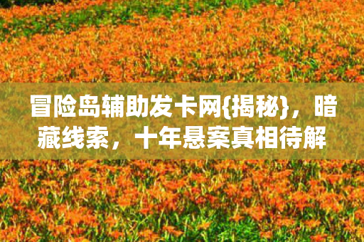 冒险岛辅助发卡网图片