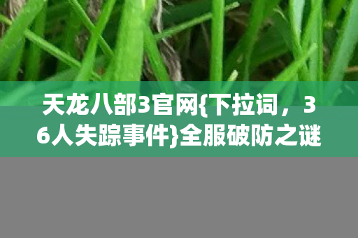 天龙八部3官网{下拉词,36人失踪事件}全服破防之谜 天龙八部3官网{下拉词,36人失踪事件}全服破防之谜