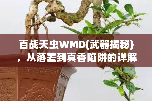 百战天虫WMD{武器揭秘}，从落差到真香陷阱的详解