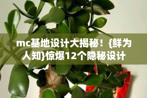 mc基地设计大揭秘！{鲜为人知}惊爆12个隐秘设计