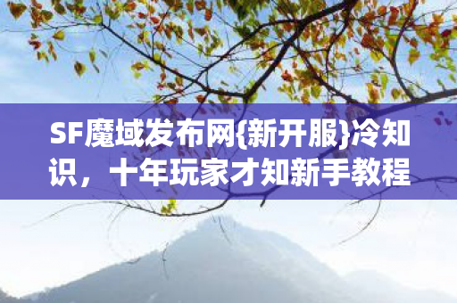 十年玩家才知新手教程真相图片