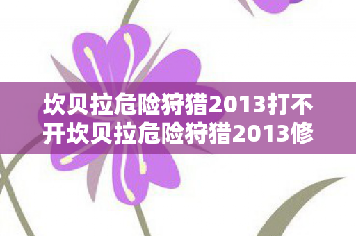 坎贝拉危险狩猎2013打不开坎贝拉危险狩猎2013修改器图片