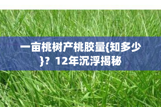 一亩桃树产桃胶量图片